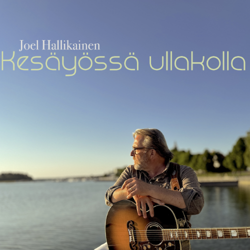 Joel Hallikainen  - Kesäyössä ullakolla
