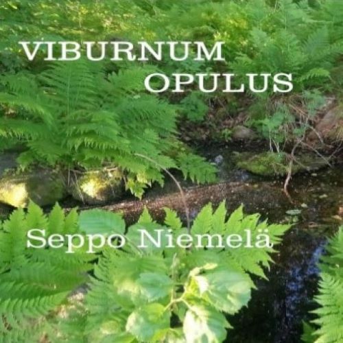 Seppo Niemelä - Viburnum Opulus